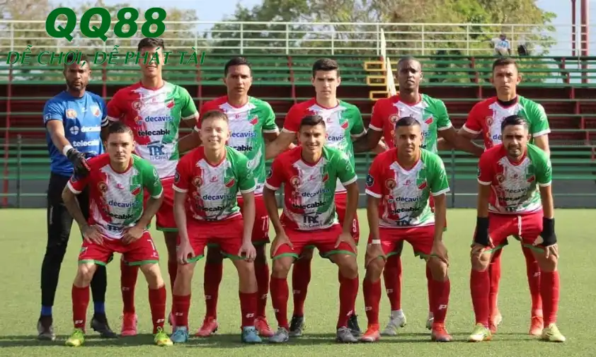 Carmelita phần nào được đánh giá cao hơn so với Pitbulls Carmelita phần nào được đánh giá cao hơn so với Pitbulls